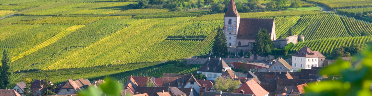 Elsass - Elsass | wein.kultur.gut.