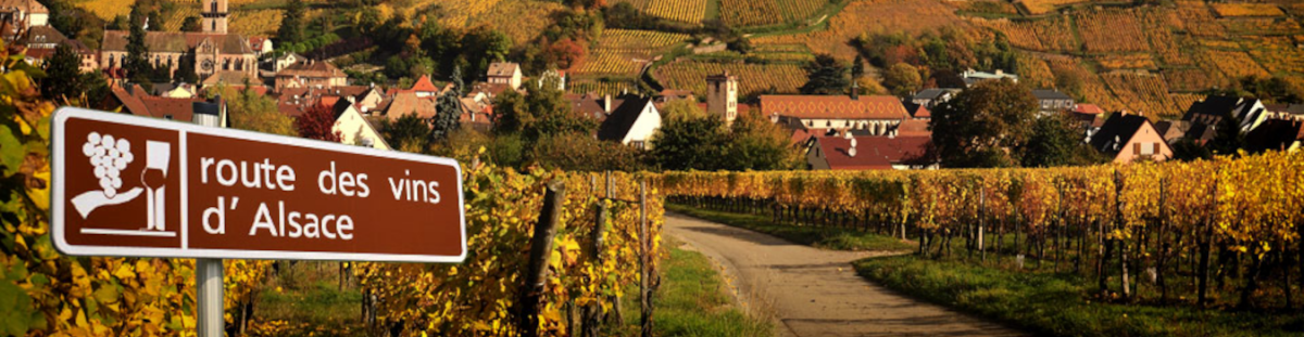 Route des Vins d’Alsace, die Elsässer Weinstraße - Elsässer Weinstraße | wein.kultur.gut. | Route des Vins d’Alsace